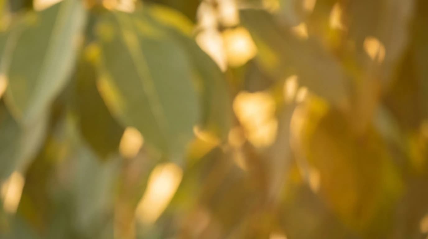 Clinical study result 3 — skincare efficacy research South Africa